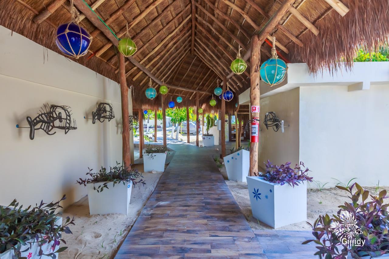 Hotel Paradise Suites Isla Mujeres Εξωτερικό φωτογραφία